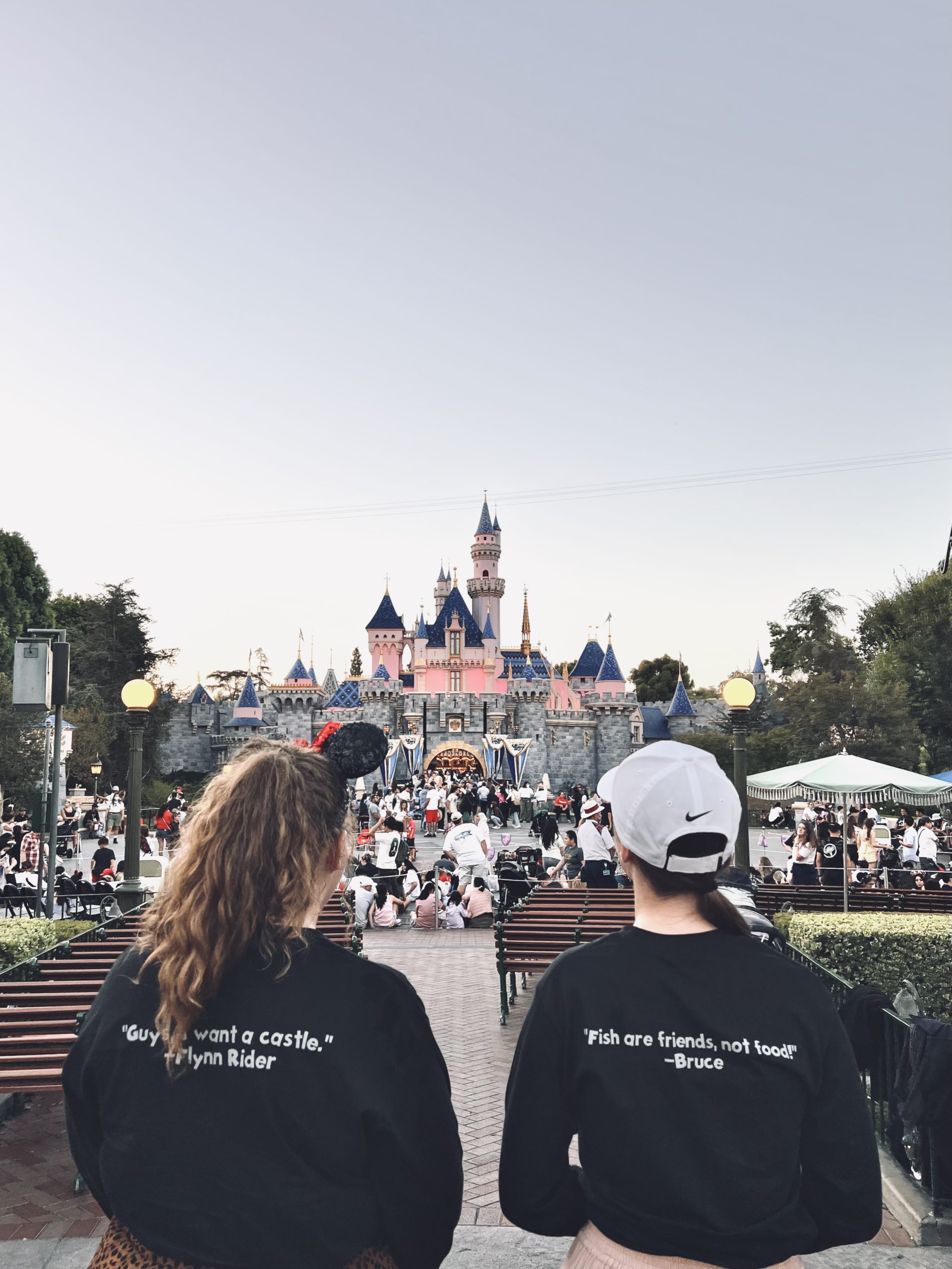 friends at disneyland 